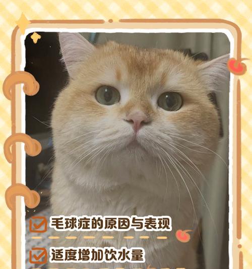 防止猫咪毛球症的有效方法（预防措施让你的猫咪远离毛球症）