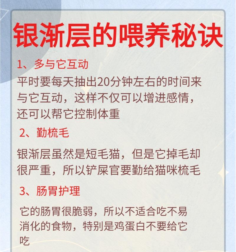 以银渐层的优缺点及应用领域分析（探究以银渐层的优点与缺点，以及其在各个领域的应用）