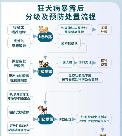 狗狗打针间隔期是多久？（了解犬类疫苗接种时间表以保障宠物健康）