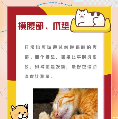 用猫量体温能持续多久？（猫咪体温计量时间和关键因素分析）