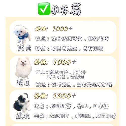 省心养狗，不掉毛，选择这6种狗狗！（性格好、易养护、无掉毛，为你提供理想的宠物伴侣）