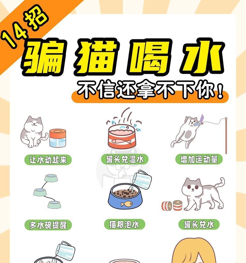 如何增加小猫咪的饮水量？（解析猫咪不爱喝水的原因与解决方法）