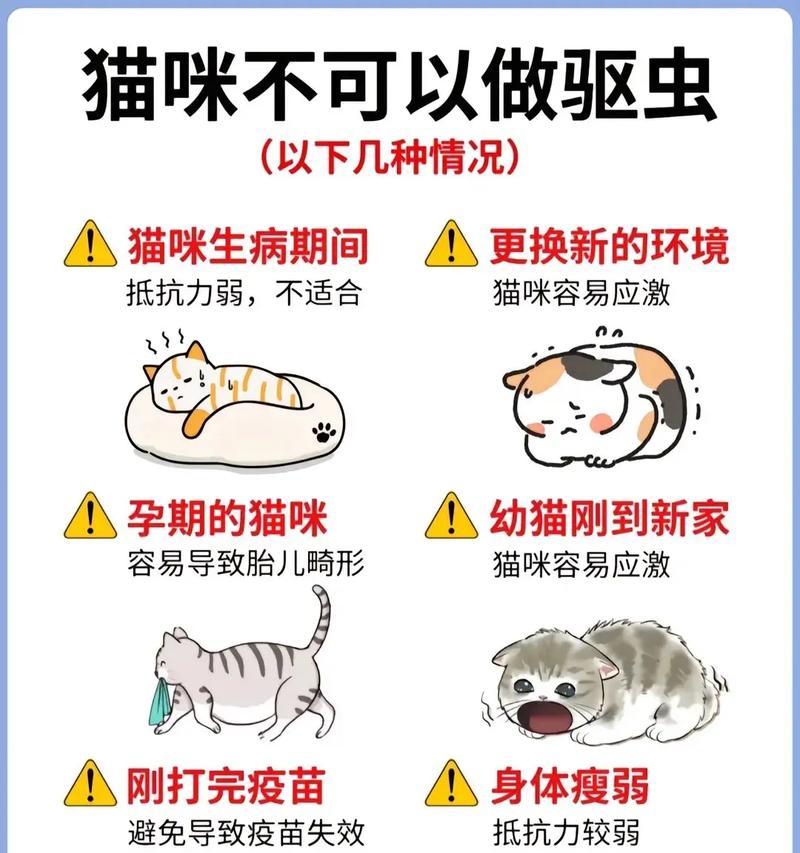 小猫驱虫后应禁止洗澡多久？（了解正确的小猫驱虫后的护理方法）