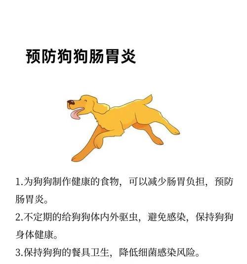 狗肠胃炎的康复时间有多长？（狗肠胃炎恢复时间表及护理方法）