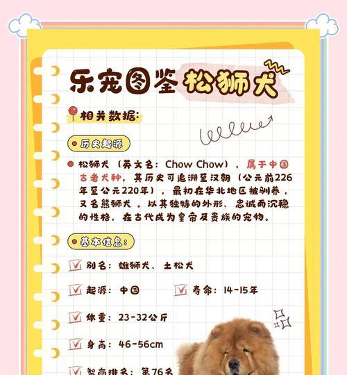 狗粮中的力量（探索松狮对于5千克狗粮的消耗量，揭示背后的关键因素）