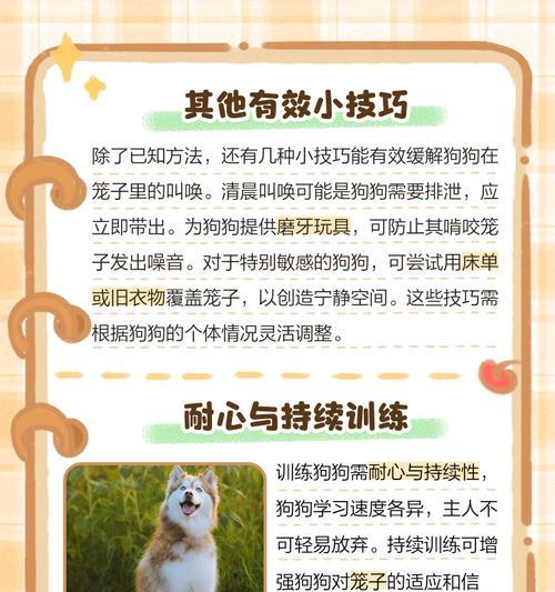 如何正确设置幼犬的笼子（幼犬笼子关押时间合理安排）