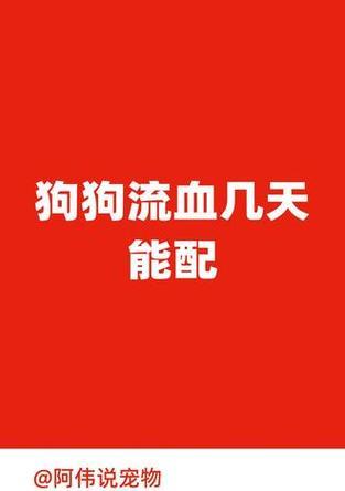 母狗配下的周期与注意事项（探究母狗交配周期、怀孕期和分娩过程，分享母狗配种的注意事项）
