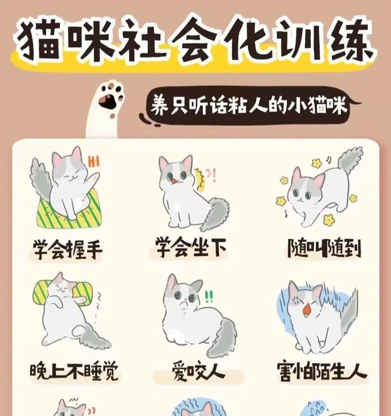 出远门如何照顾家中的宠物猫（四种方法让你放心出门旅行，宠物猫也能幸福安心）