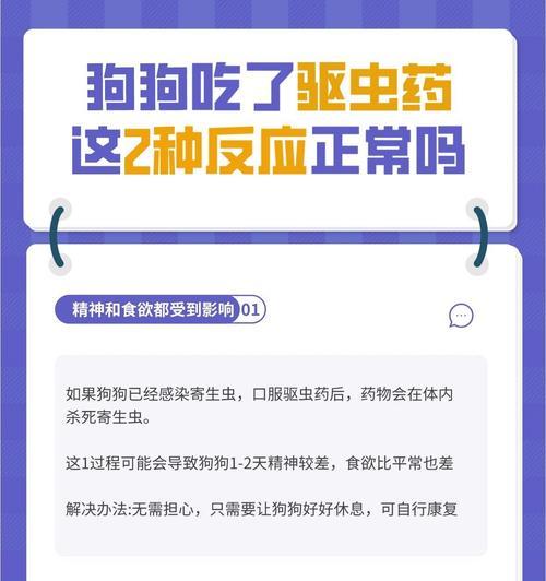 狗狗驱虫药的见效时间及关键因素探究（为你的宠物选择合适的驱虫药，关注它的身体健康！）