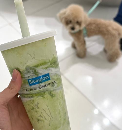 狗狗喝酸奶的频率及注意事项（狗狗酸奶摄入频率的最佳实践及关键要素）