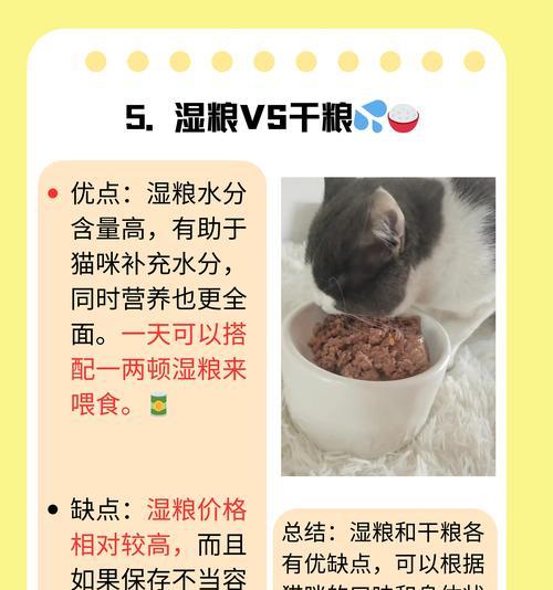 如何预防猫咪肾病？（探究现在猫咪患肾病增多的原因）