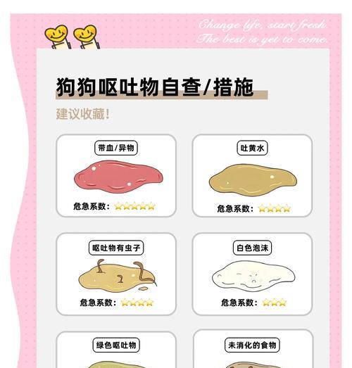 小狗呕吐的症状（详解小狗呕吐的常见症状和处理方法）
