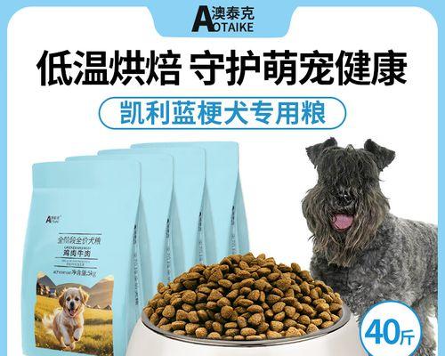 凯利蓝梗犬的成熟时间及特点（凯利蓝梗犬成熟时间长，性格活泼好动）
