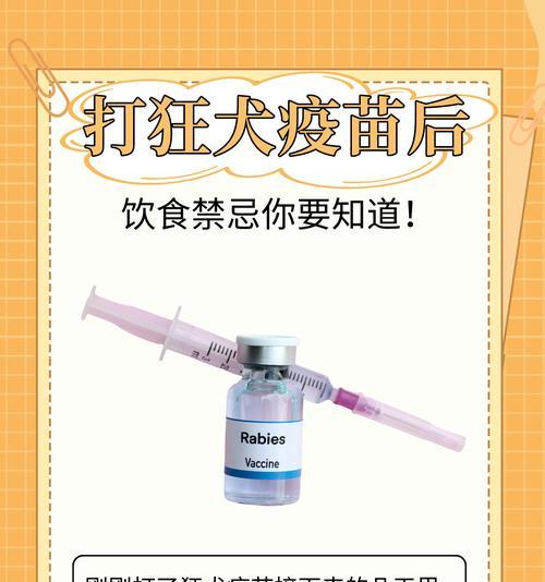 打狗疫苗有效期有多长？（探究打狗疫苗的保护期限及其重要性）