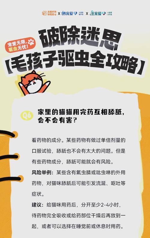 成年犬体外驱虫的重要性（保护宠物健康，关爱家庭安全）
