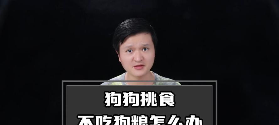 教你解决狗狗挑食问题的有效方法（如何让狗狗爱上吃狗粮）