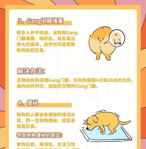 狗狗也会脚臭！关注你的宠物脚部健康（原因和解决方法，让你的狗狗远离脚臭问题）