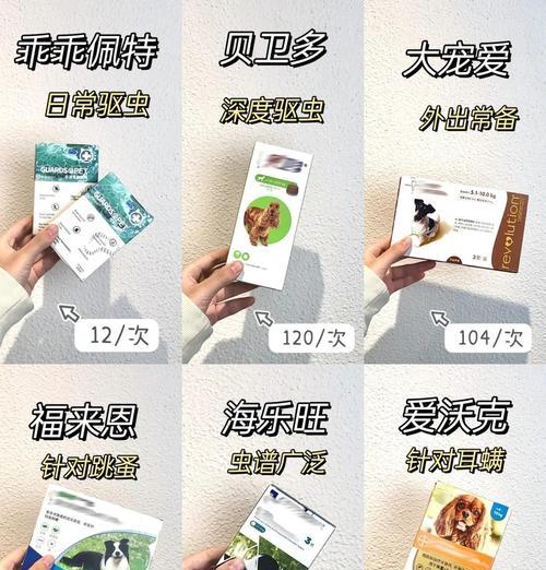 狗狗驱虫费用及注意事项（狗狗驱虫多少钱一次？驱虫时需注意哪些方面？）