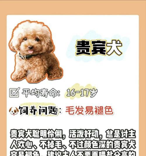 揭秘狗狗的寿命之谜（探索狗狗寿命长短的因素及如何延长它们的寿命）
