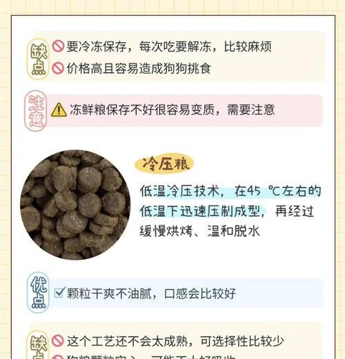 狗粮泡水时间多久才能吃？（优化宠物狗的饮食习惯，泡狗粮的最佳时间是多久？）