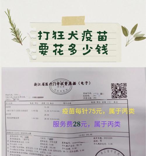 打完狂犬疫苗后疗效何时开始下降（狂犬疫苗保护期限与关键因素分析）