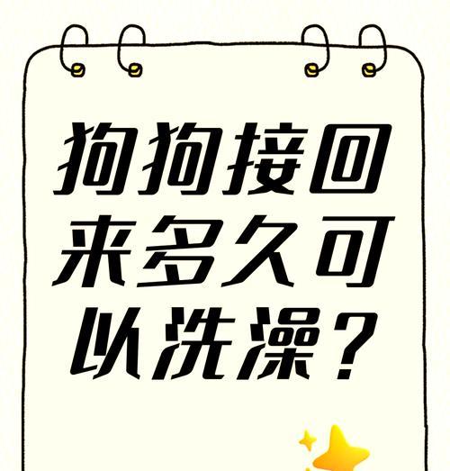 怀孕母犬洗澡的注意事项（科学护理，给母犬一个舒适的洗澡环境）