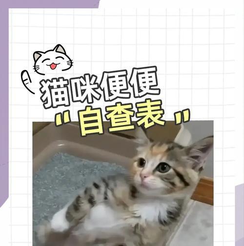 猫咪拉稀的6种情况，你知道吗？（探讨猫咪拉稀的原因及应对方法）