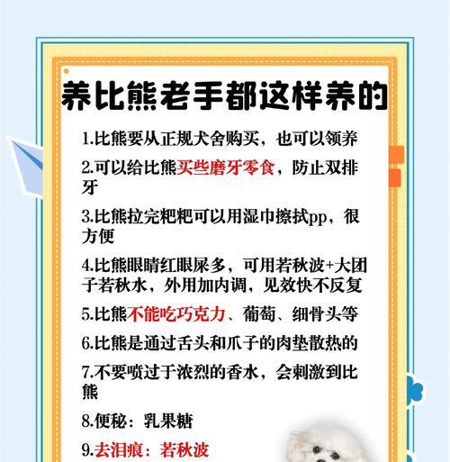 以比熊第一次月经后可以洗澡吗？（了解比熊第一次月经后的洗澡时间和注意事项）