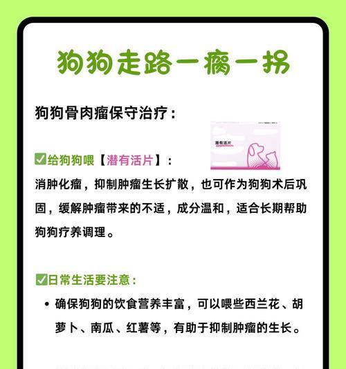 狗的骨头生长时间究竟需要多久？（探索狗骨头生长过程及其影响因素）