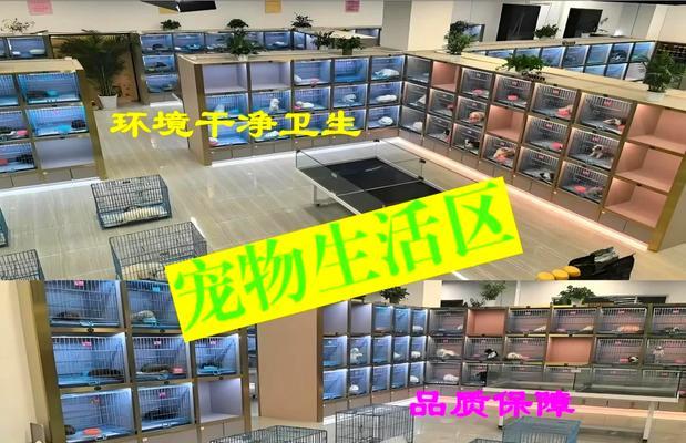 探索宠物爱好者的工作（了解宠物爱好者工作的机会和挑战，探索行业的发展前景）