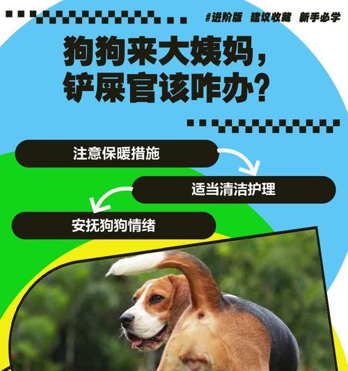 狗狗掉牙的五大原因及清洁口腔的重要性（-口腔健康、定期清洁、预防掉牙）