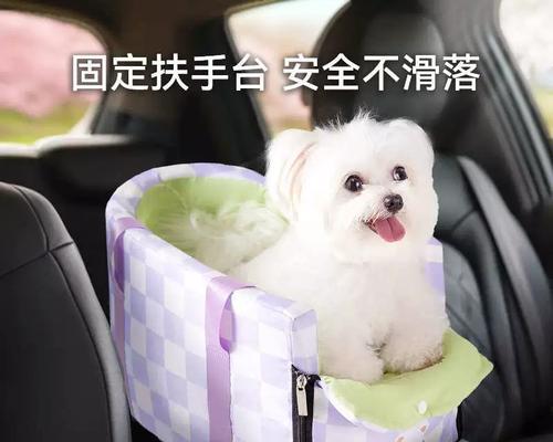 小型犬乘坐长途汽车的必备措施（为您的小型犬提供安全舒适的旅行体验）