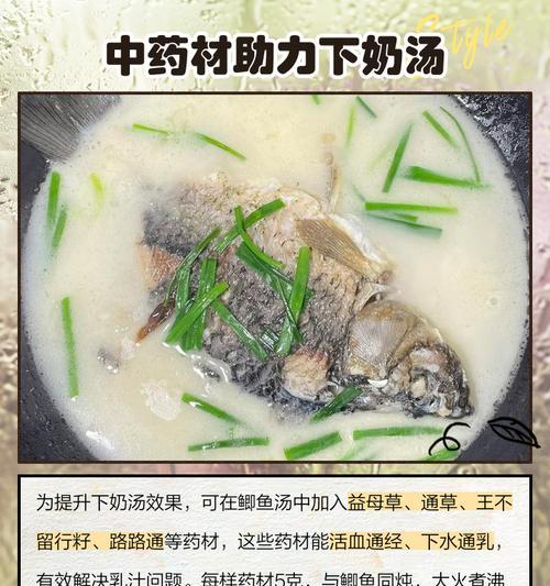 狗身上的大补秘籍（探索狗身上的营养宝藏）