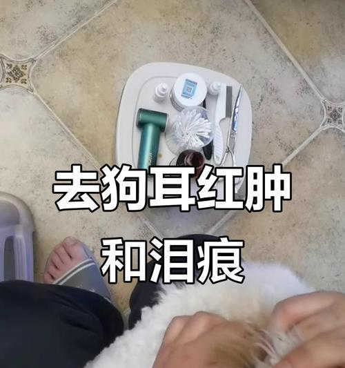 狗狗耳朵发炎的原因及预防方法（深入了解狗狗耳朵发炎的种种原因，以及如何预防和处理）