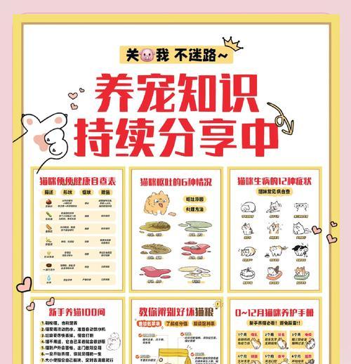建立主人和狗狗之间的信任关系（加强你们之间的关系，培养忠诚和亲近感）