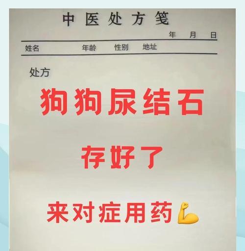 狗狗膀胱结石的治疗方法（手术与药物治疗对比，选择最佳方案）