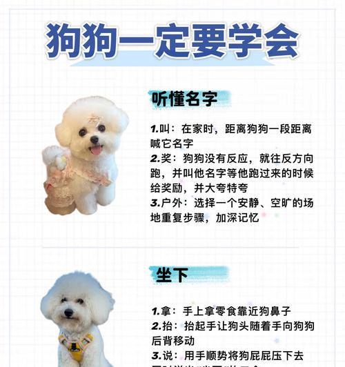 狗的记忆（探究狗狗记忆力的奥秘与特点）