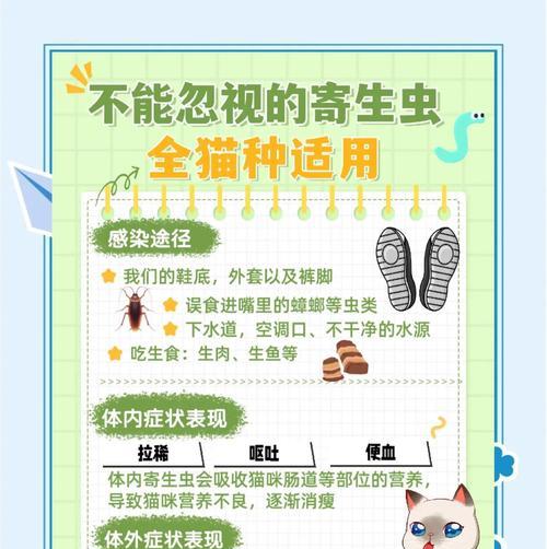 猫猫驱虫多久不喂可行吗？（探讨猫猫驱虫后暂时不喂食的可行性及影响）