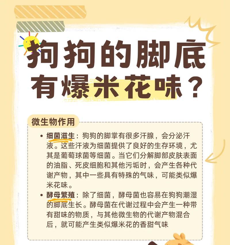 狗狗脚底何时会变黑？（揭秘狗狗脚底变黑的时间及原因）