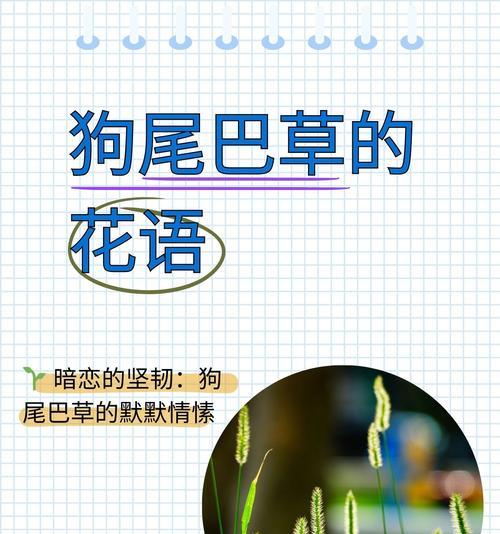 狗狗喜欢吃的草种类及其作用（了解狗狗喜欢吃的草，关注它们的健康需求）