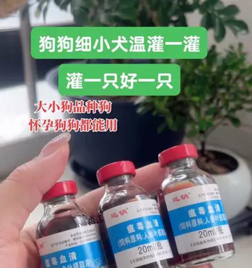 细小病毒的狗狗症状与应对措施（了解狗狗细小，守护我们的可爱伙伴）