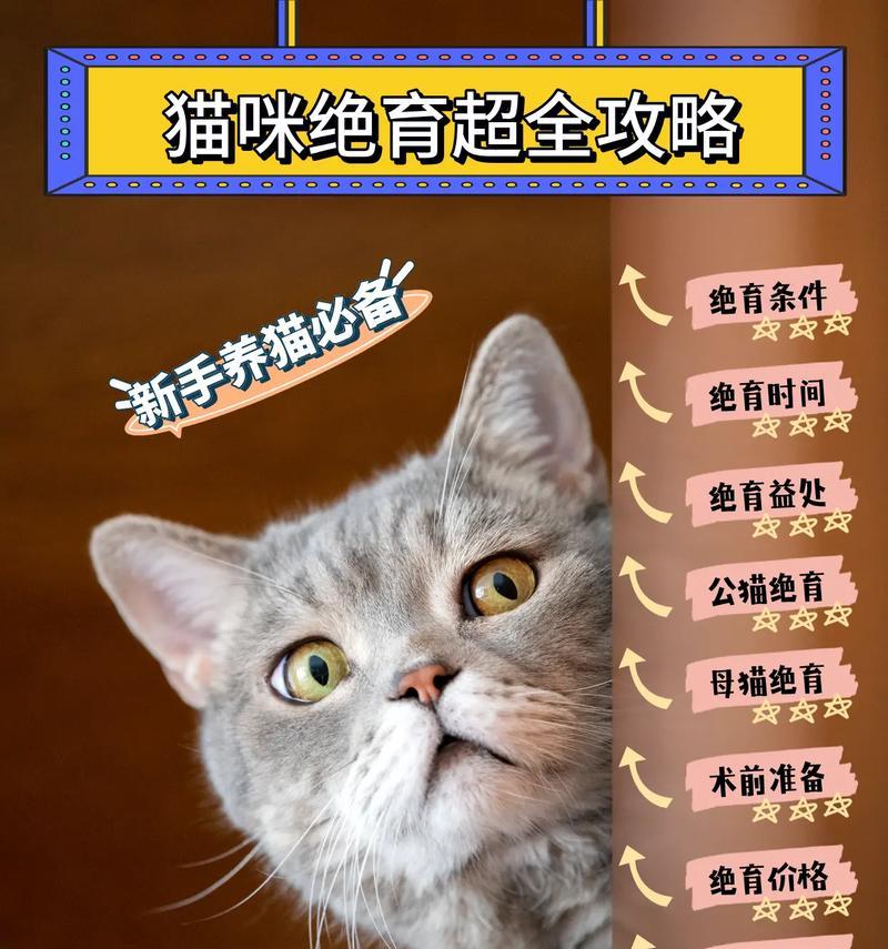 小猫绝育的重要性（保护它们的健康和幸福）