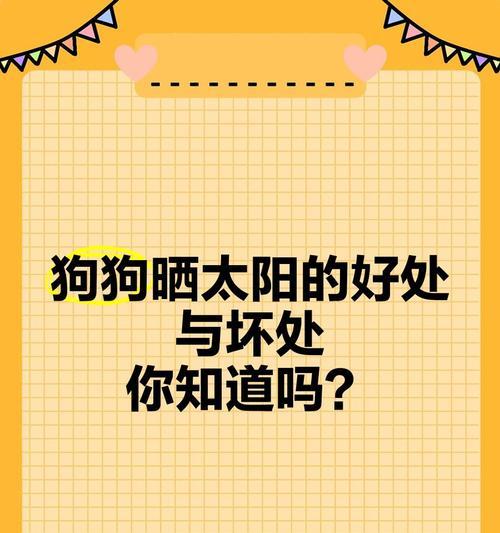 狗狗生完多久可以晒太阳？（了解适宜的晒太阳时间，呵护狗狗健康）