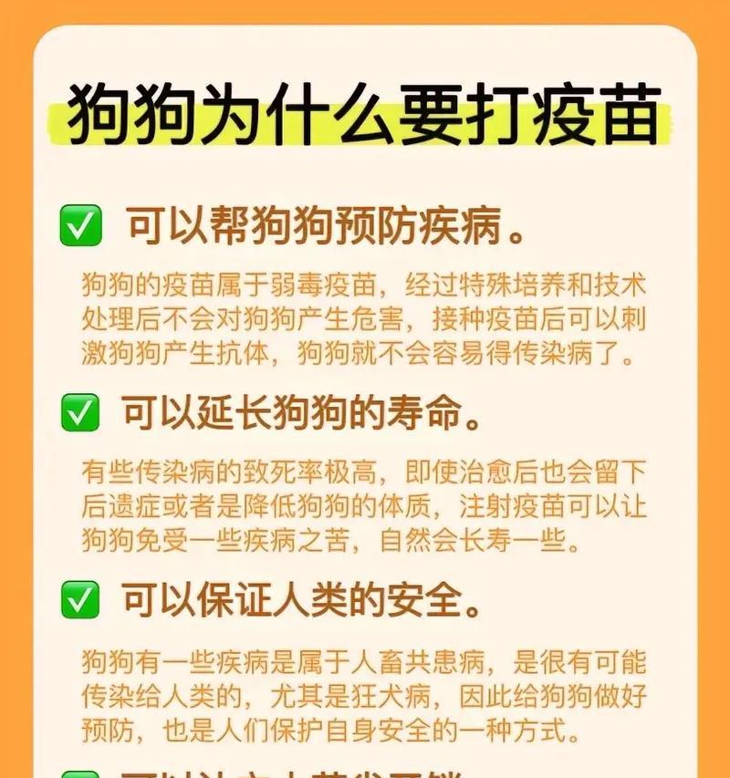 打过疫苗的狗的有效期限（了解疫苗保护期限，宠物健康无忧）