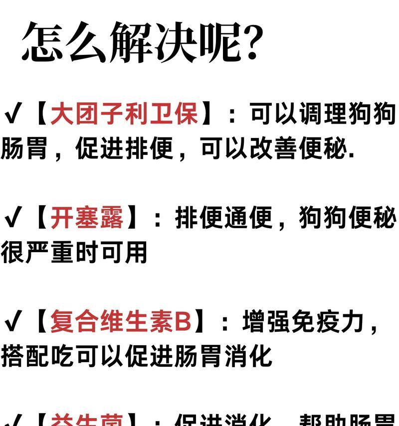 狗狗得了肠胃病的症状及应对方法（了解狗狗肠胃病的常见症状，及时治疗宠物健康）