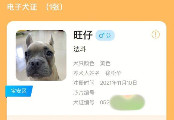 办理狗证的时间和流程详解（了解办理狗证的步骤和所需时间，让您的爱犬合法无忧）