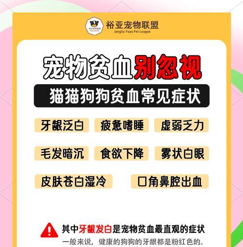 小狗贫血（探索小狗贫血的症状及其治疗方法）