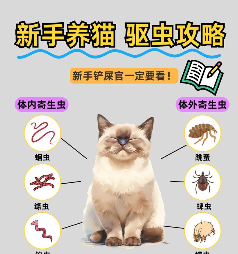 猫滴驱虫药后洗澡的最佳时间及注意事项（猫滴驱虫药后洗澡时间表和保持清洁的关键）
