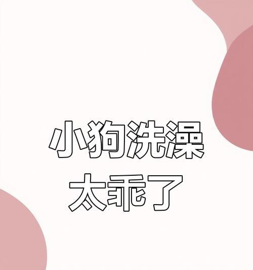 柯基成年期适宜洗澡的频率（保持柯基宠物清洁与健康的关键）