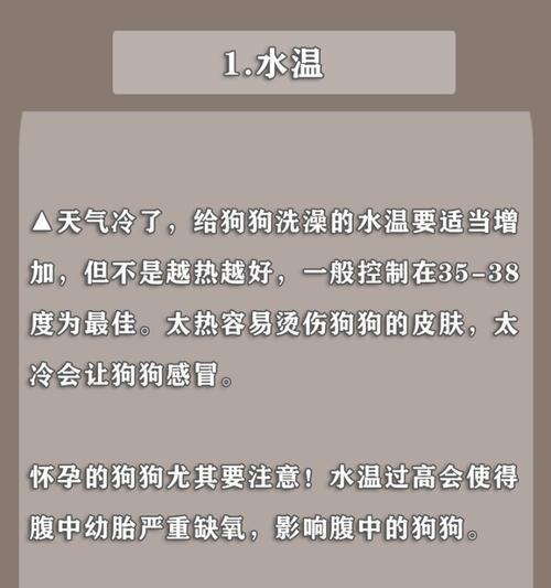 怀孕狗的洗澡时间和注意事项（怀孕狗洗澡时间表及如何保证洗澡的安全）
